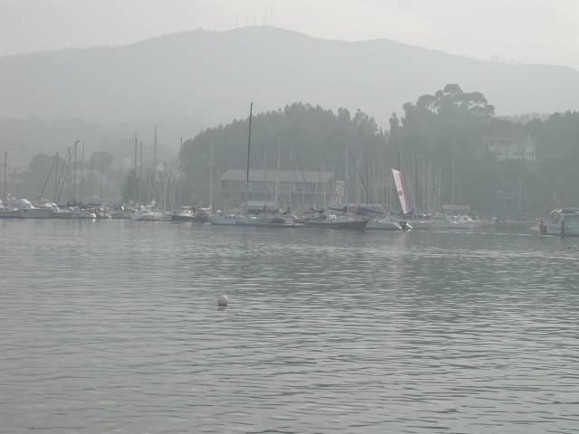 Foggy Portosin